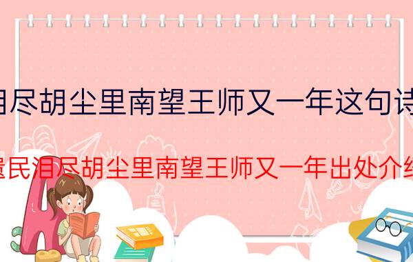 遗民泪尽胡尘里南望王师又一年这句诗的意思 遗民泪尽胡尘里南望王师又一年出处介绍